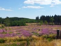 Harz landschaft 3